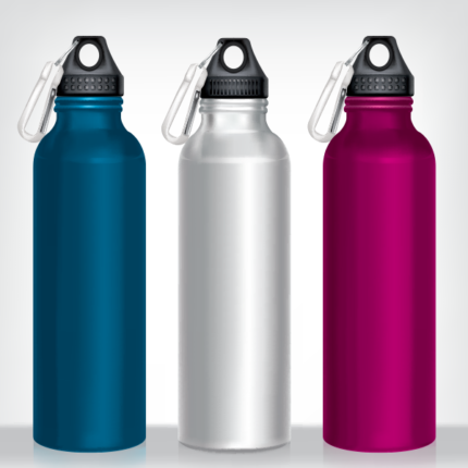 Stainless Steel Water Bottle